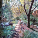 Path and Trees in Afternoon 
                      Light, 23" by 19", pastel on Bristol board