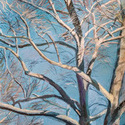 Winter Branches and Blue Sky, 
                      23" by 19", pastel on Bristol board