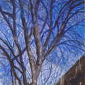 Rooftop, Winter Trees and Sky, 
                      23" by 19", pastel on Bristol board