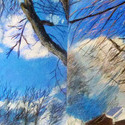 Winter Sky and Branches, 42" 
                      x 22", pastel on bristol paper, 2015