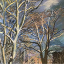Bare trees in March, 20" 
                      by 24", pastel on Bristol Board