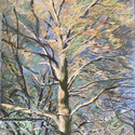 Early Spring in Sunnyside, 
                      20" by 24", pastel on Bristol Board