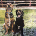 Jameson and Remi<br>
                      21 by 23 inches, pastel on Bristol board, 2021