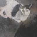 Tippy<br>
                      21 by 23 inches, pastel on Bristol board, 2021