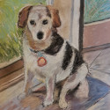 Mazey<br>
11 by 14 inches, Pastel on bristol board, 2026