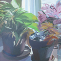 Two flower pots enjoying the 
                      sun , acrylic paint on bristol paper, 15" x 20", 
                      2012