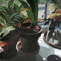 Two Flower pots on my window 
                      sill 1, acrylic paint on museum board, 20” x 26”